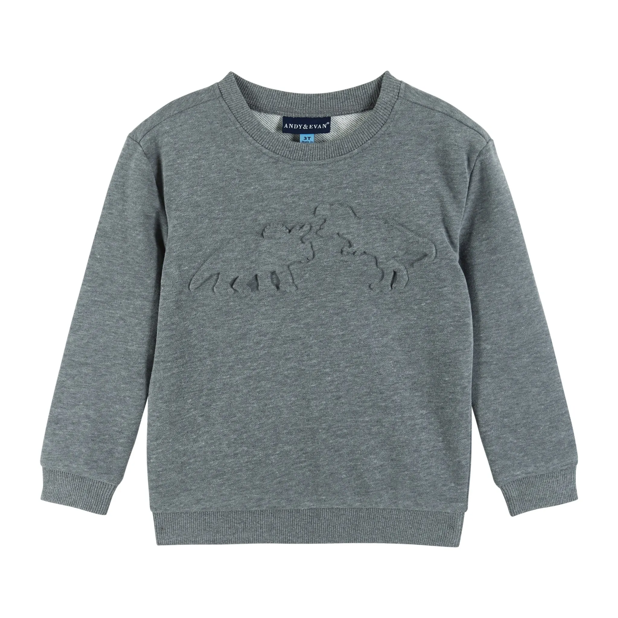 Dino Embossed Sweatshirt & Shorts Set